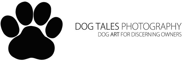 Logo for Dog Tales Photography